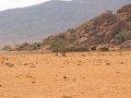 Himba Nomaden