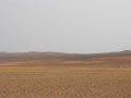 Wüstenlandschaft in Namibia