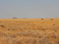 Wüstenlandschaft in Namibia