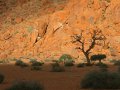 Landschaft in Namiba