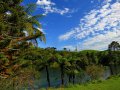 McLaren Falls Park (Neuseeland)