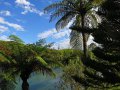 McLaren Falls Park (Neuseeland)