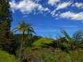 McLaren Falls Park (Neuseeland)