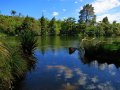 McLaren Falls Park (Neuseeland)