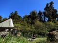 Camping im Waikaremoana Nationalpark (Neuseeland)