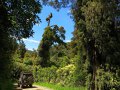 Waikaremoana Nationalpark (Neuseeland)