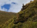 Waikaremoana Nationalpark (Neuseeland)