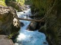 Tongariro River (Neuseeland)