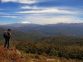 Kaimanawa Forest Park (Neuseeland)