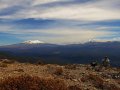 Kaimanawa Forest Park (Neuseeland)