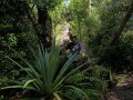 Kaimanawa Forest Park (Neuseeland)