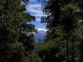 Kaimanawa Forest Park (Neuseeland)