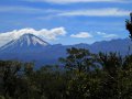 Kaimanawa Forest Park (Neuseeland)