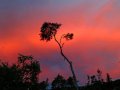 Sonnenuntergang in Neuseeland (Neuseeland)