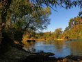 Waikato River (Neuseeland)