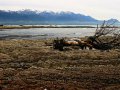 Küste bei Kaikoura (Neuseeland)