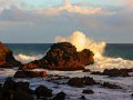 Cape Palliser (Neuseeland)