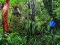 Wandern am Mount Taranaki (Neuseeland)