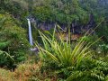 Dawson Falls am Taranaki (Neuseeland)