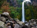 Dawson Falls am Taranaki (Neuseeland)