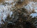 Tongariro Crossing im Winter (Neuseeland)