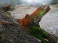 Craters of the Moon in Rotorua (Neuseeland)