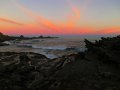 Cape Palliser (Neuseeland)