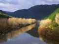 Flusslandschaft (Neuseeland)