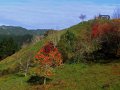 Landschaft bei Wanganui (Neuseeland)