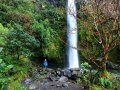 Dawson Falls am Taranaki (Neuseeland)