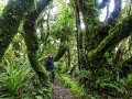 Wandern am Taranaki (Neuseeland)