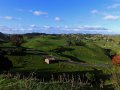 Landschaft bei Stratford (Neuseeland)