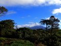 Mount Taranaki (Neuseeland)