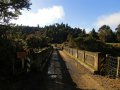 Bridge to Somewhere bei Aotuhia (Neuseeland)