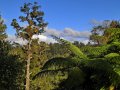 Landschaft (Neuseeland)