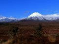 Mount Ngauruhoe im Tongariro Nationalpark (Neuseeland)