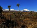 Mount Ngauruhoe im Tongariro Nationalpark (Neuseeland)