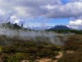 Craters of the Moon Rotorua (Neuseeland)