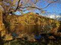 Lake Tutira (Neuseeland)