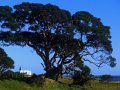 East Cape Landschaft (Neuseeland)