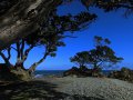 Coromandel Halbinsel (Neuseeland)