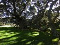 Coromandel Halbinsel (Neuseeland)