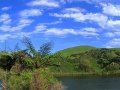 McLaren Falls Park (Neuseeland)