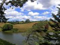 McLaren Falls Park (Neuseeland)