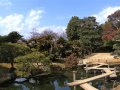 Korakuen Garten in Okayama (Japan)