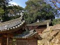 Korakuen Garten in Okayama (Japan)