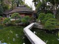 Korakuen Garten in Okayama (Japan)