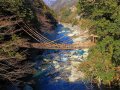 Iyano Kasurabashi (Iya Vine Bridge)