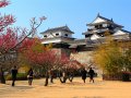 Matsuyama Castle (Japan)