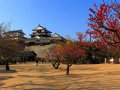 Matsuyama Castle (Japan)